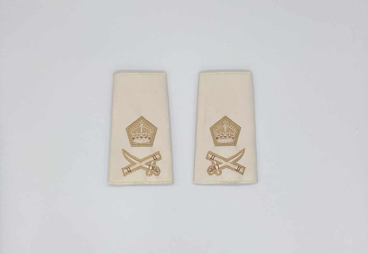 Rank Slide Lt Gen Parchment