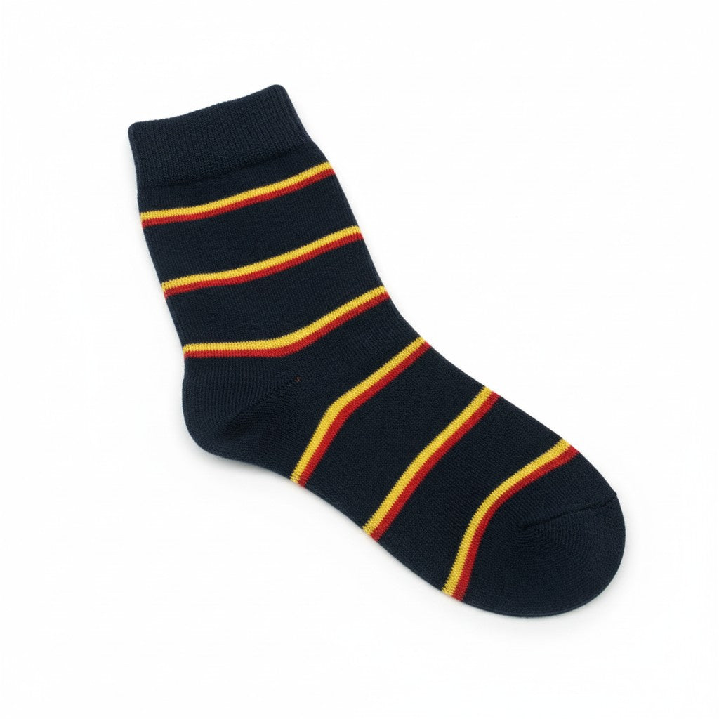 REME Trouser Socks (1 pair)