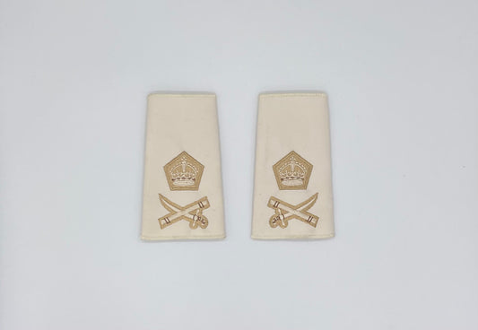 Rank Slide Lt Gen Parchment